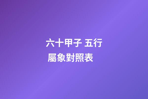 六十甲子 五行 屬象對照表